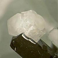 Calcioburbankite, Pectolite