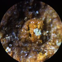 Rakovanite