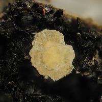 Bainbridgeite-(YCe)