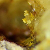 Palermoite, Goedkenite