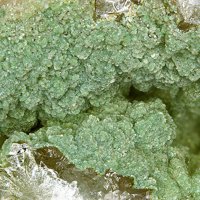 Takovite