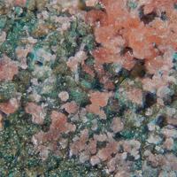 Ahlfeldite, Chalcomenite