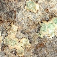 Abernathyite, Heinrichite
