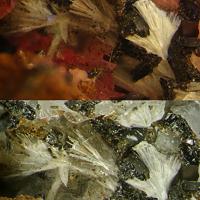 Adamsite-(Y)