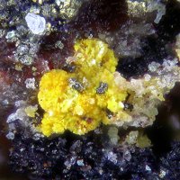 Uranotungstite