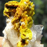 Uranocircite