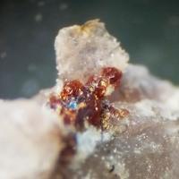 Abenakiite-(Ce), Ussingite