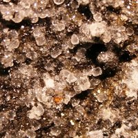 Faujasite-Na, Phillipsite-Na, Calcite