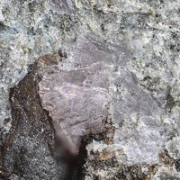Lanthanite-(Nd)