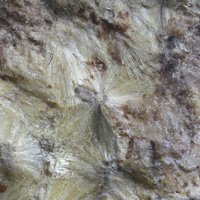 Carpholite