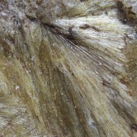 Carpholite