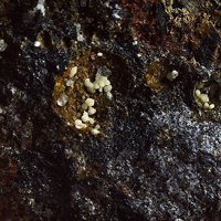 Ecdemite, Phosgenite, Slag