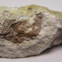 Tamarugite