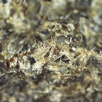 Kalsilite