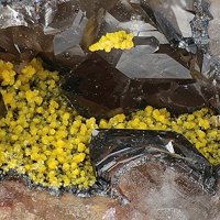 Uranotungstite