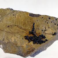 Acanthite, Silver
