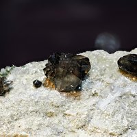 Cassiterite, Quartz