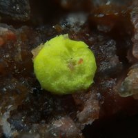 Uranopilite
