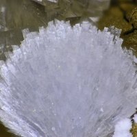 Dachiardite-Ca, Dachiardite-Na, Mordenite