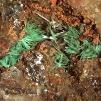 Ulrichite