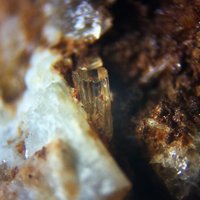 Palermoite