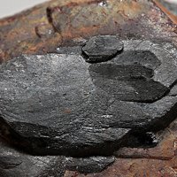 Samarskite-(Y), Columbite-(Fe)