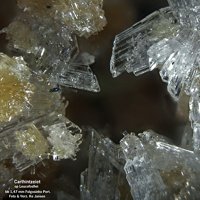 Carlhintzeite, Leucophosphite