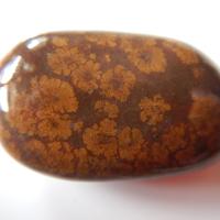 Aegirine-augite, Analcime, Andradite
