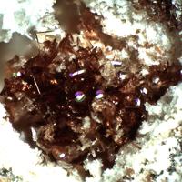 Canutite