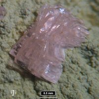 Lanthanite-(Nd)