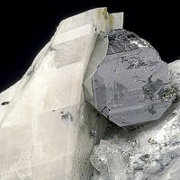 Carrollite