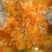 Bazhenovite