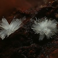 Rauenthalite