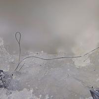 Cannizzarite