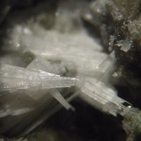Kaliophilite