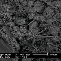Jahnsite-(CaMnFe), Beraunite