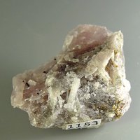 Nalipoite