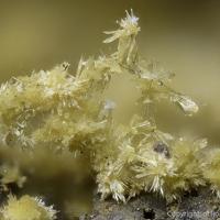 Adranosite-(Fe)