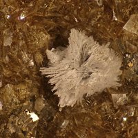 Galgenbergite-(Ce), Siderite