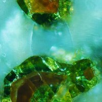 Macedonite, Bindheimite