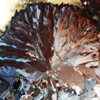 Rammelsbergite, Safflorite, Bismuth