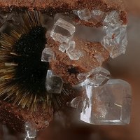 Rankachite, Fluorite