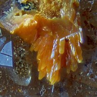 Uranosphaerite