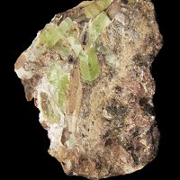 Ganophyllite