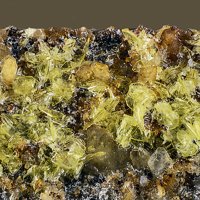 Uranospinite