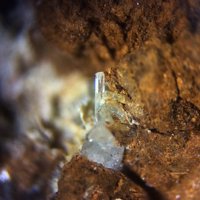 Palermoite