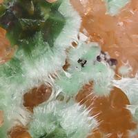 Agardite-(Ce), Quartz