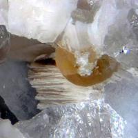 Calcioancylite-(Nd)