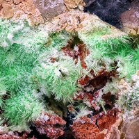Ulrichite