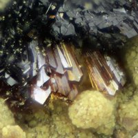 Earlshannonite, Rockbridgeite, Mitridatite